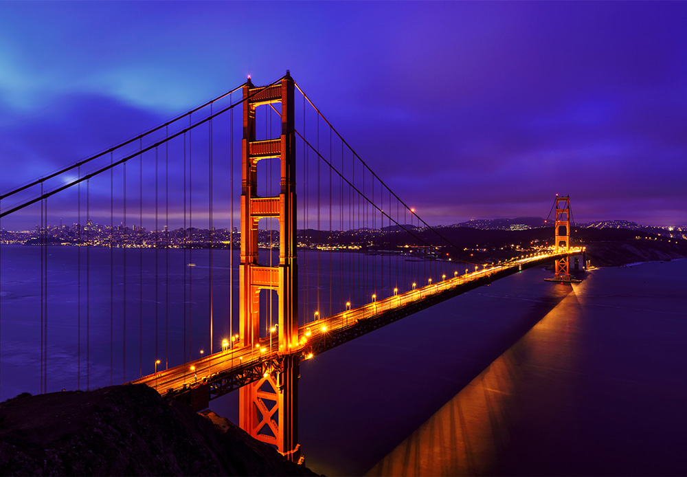 san francisco purple